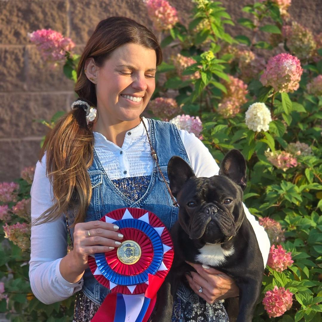 安宠倍健·段涛