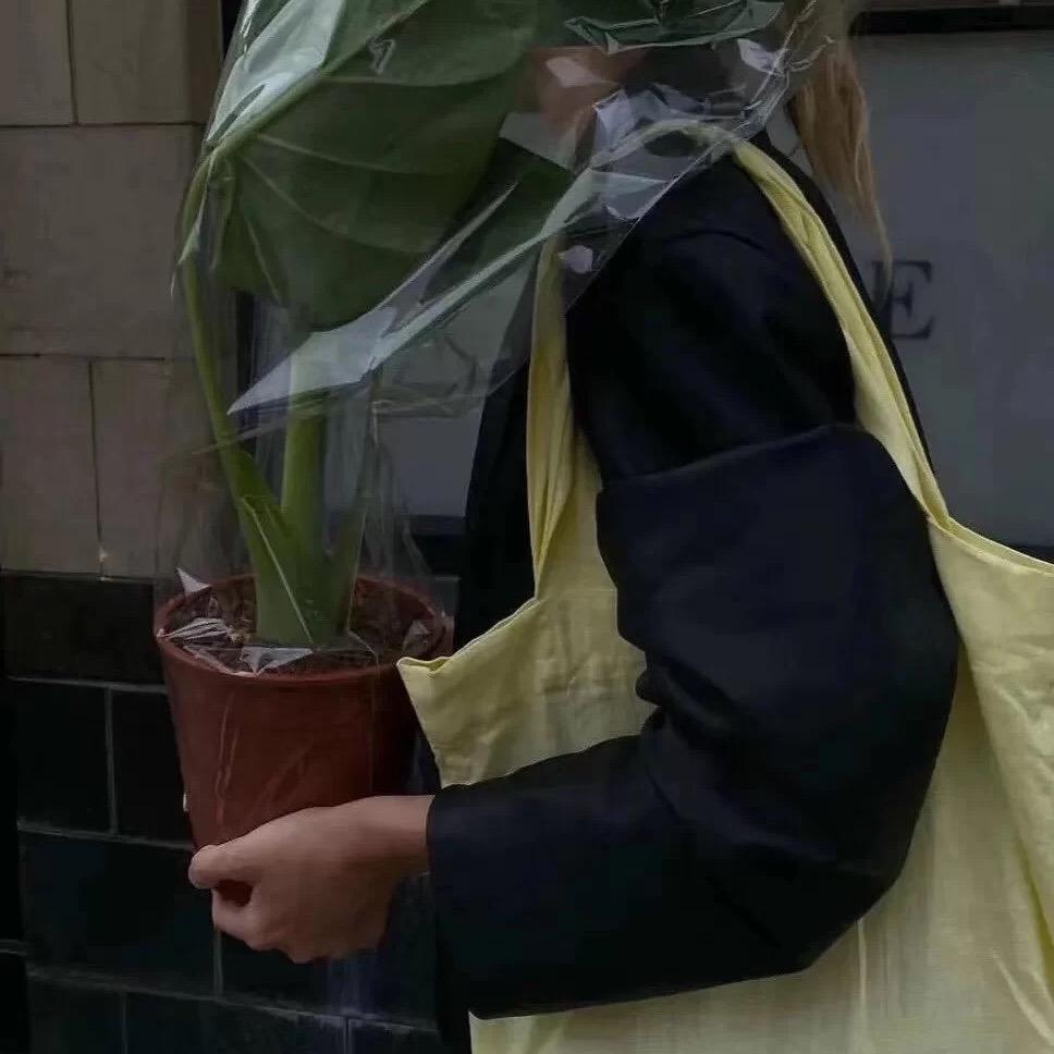 布雷脆脆奶芙