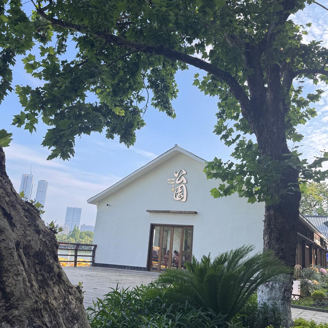 坨坨妹几🧚‍♀️