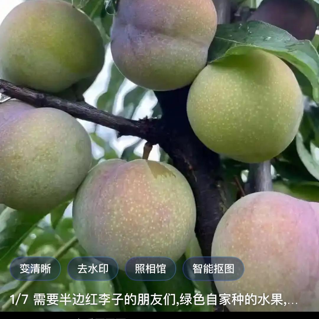 话少脾气好