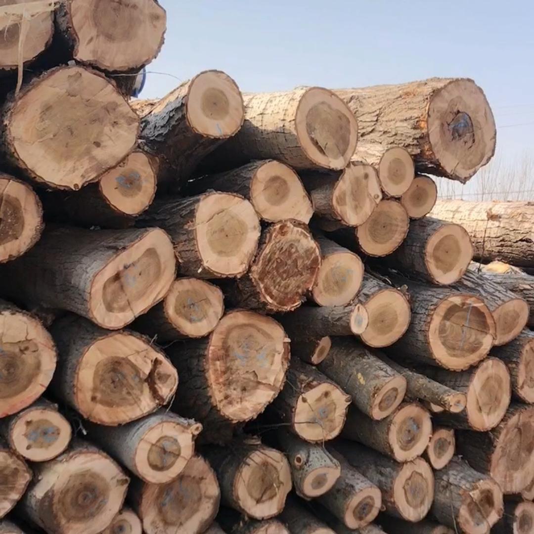 河北木材销售