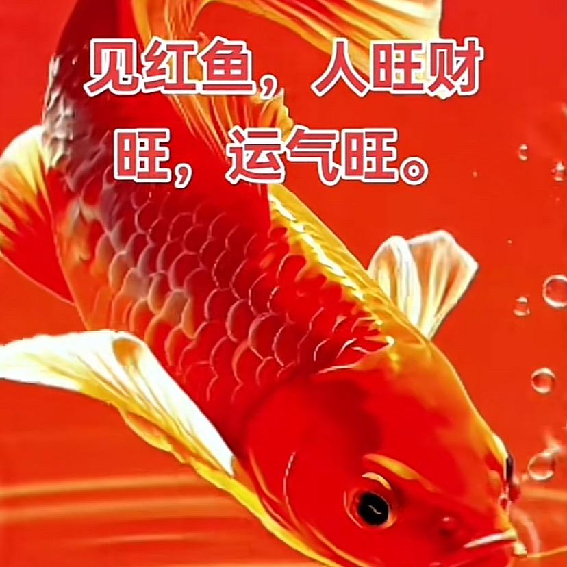 心好累