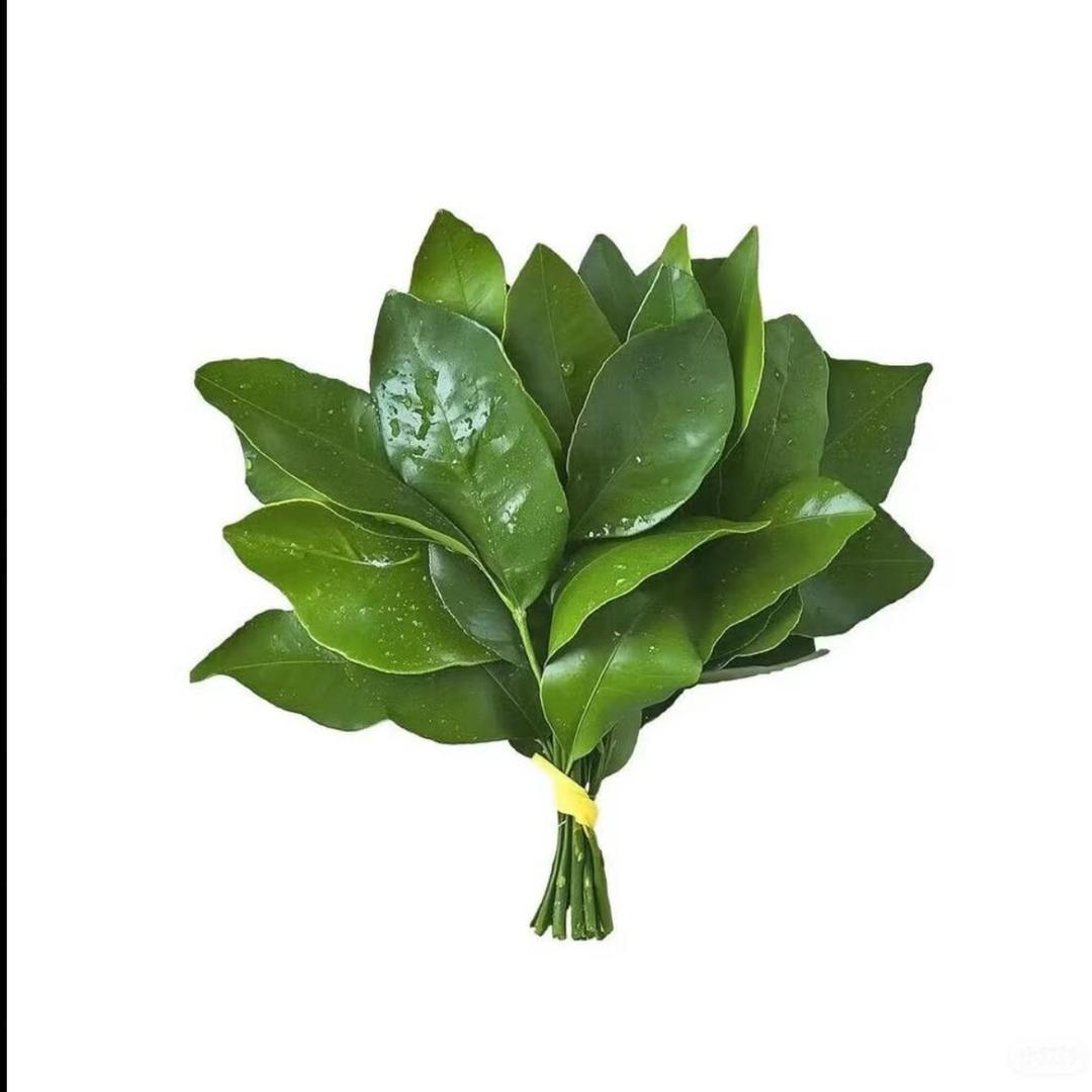 你管窝在干嘛(´・ω・`)
