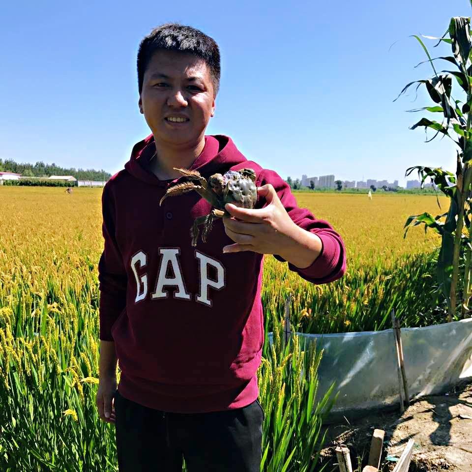 辽锦蟹侬生鲜（河蟹季）