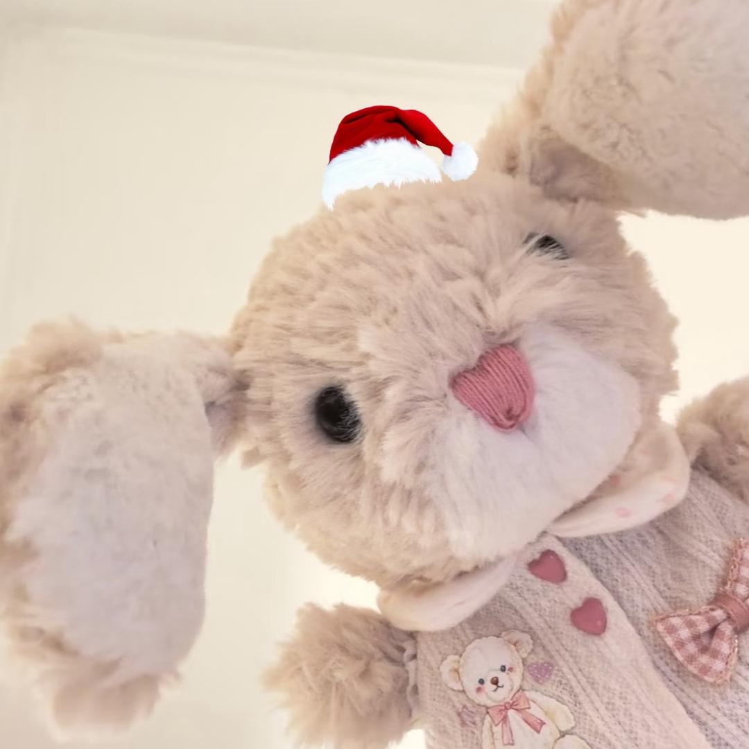 我是Julia的小号