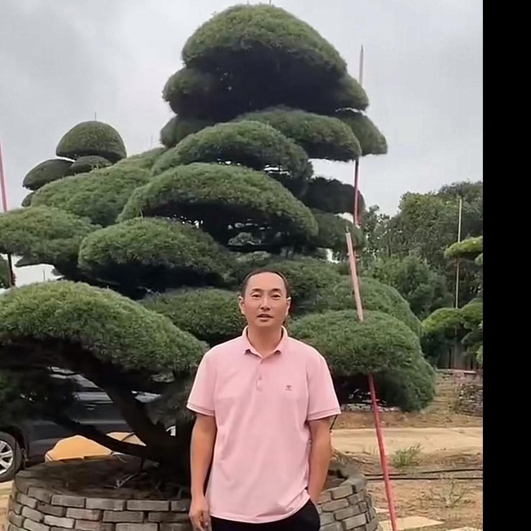 高远精品