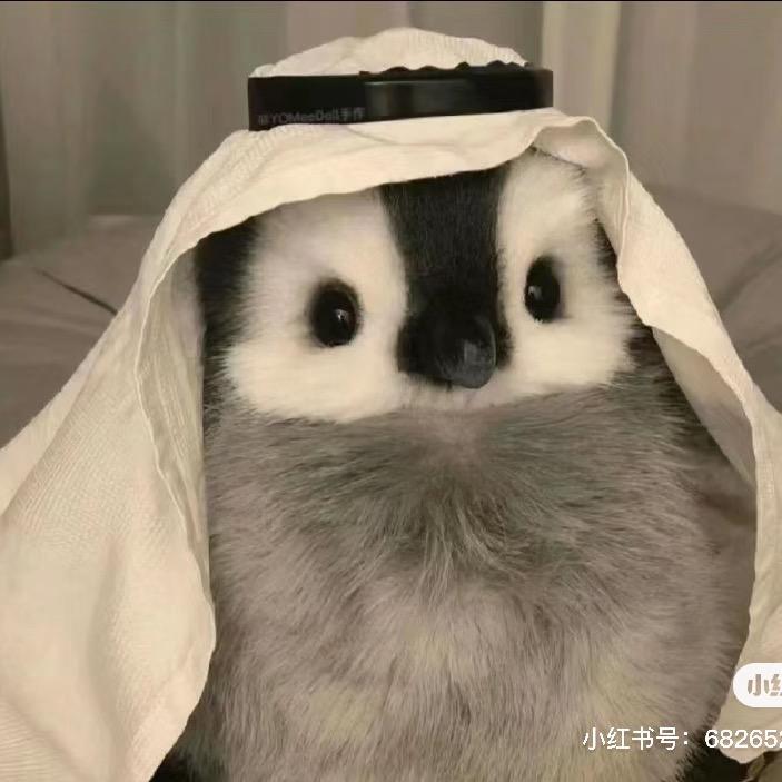 🌸云汐汐