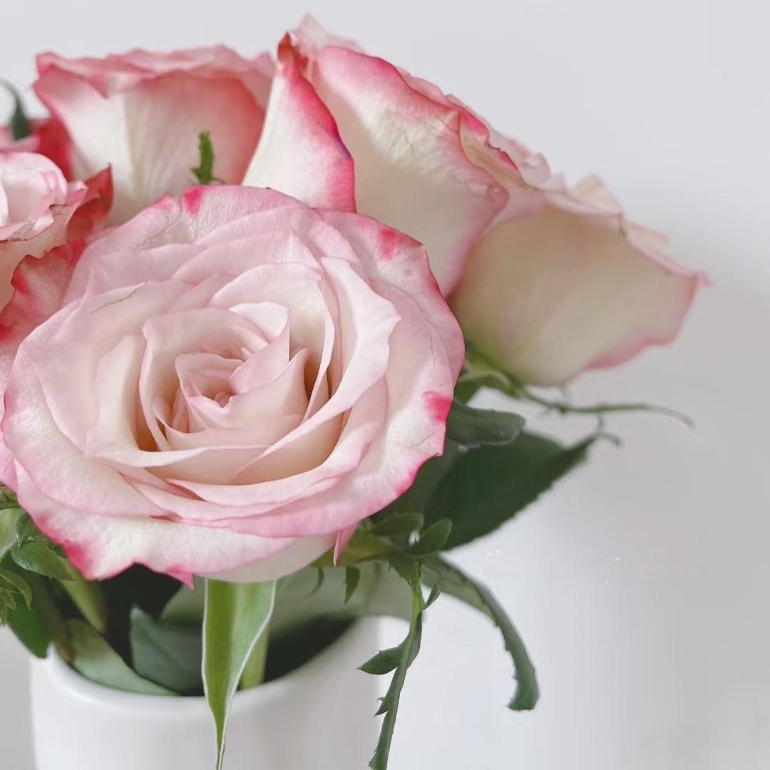 南通羽芸儿家纺（秋冬暖绒系列）