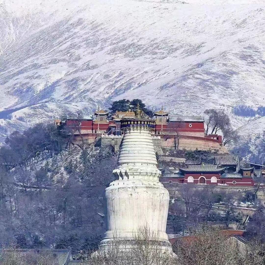 💍 五台山小杨