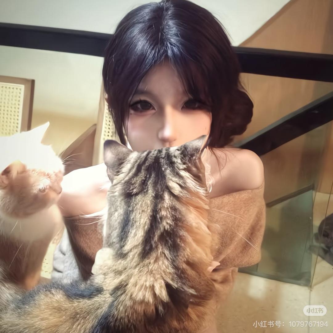 一根猫条