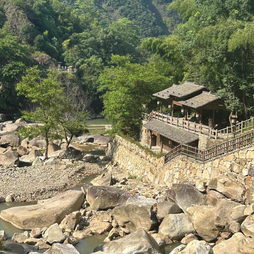 任我飞