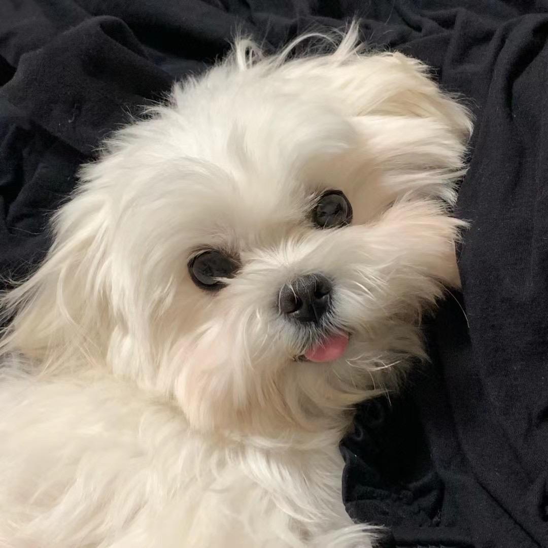 欧拉