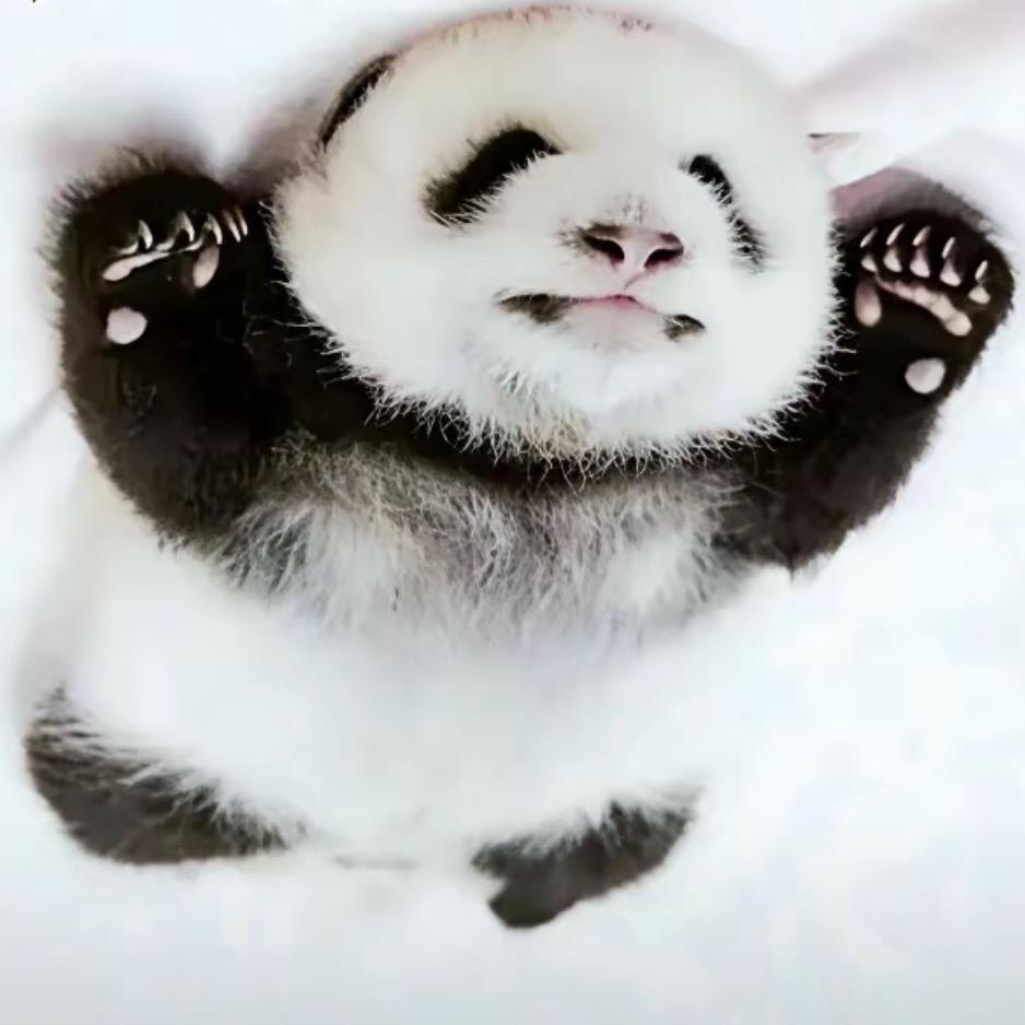 辣椒妹