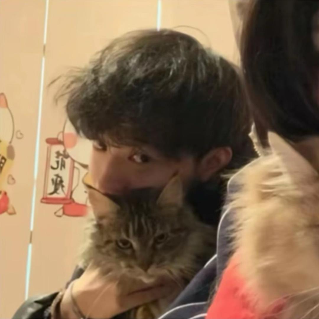 人生若只如初见