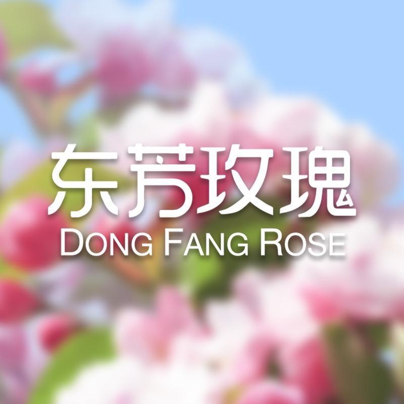 东芳玫瑰静姐生活号