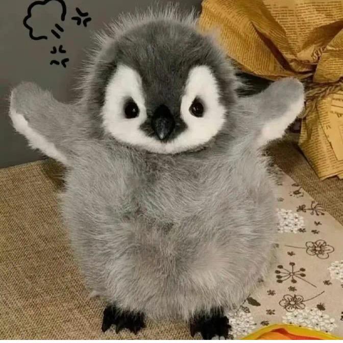 涂涂涂玄君