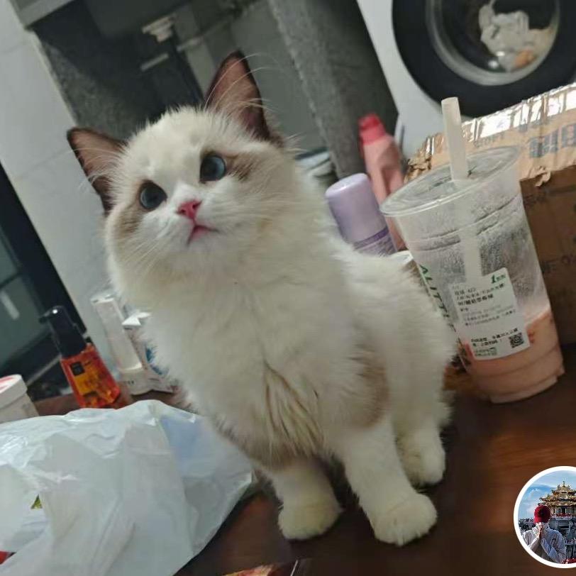 我家布布最可爱🥰