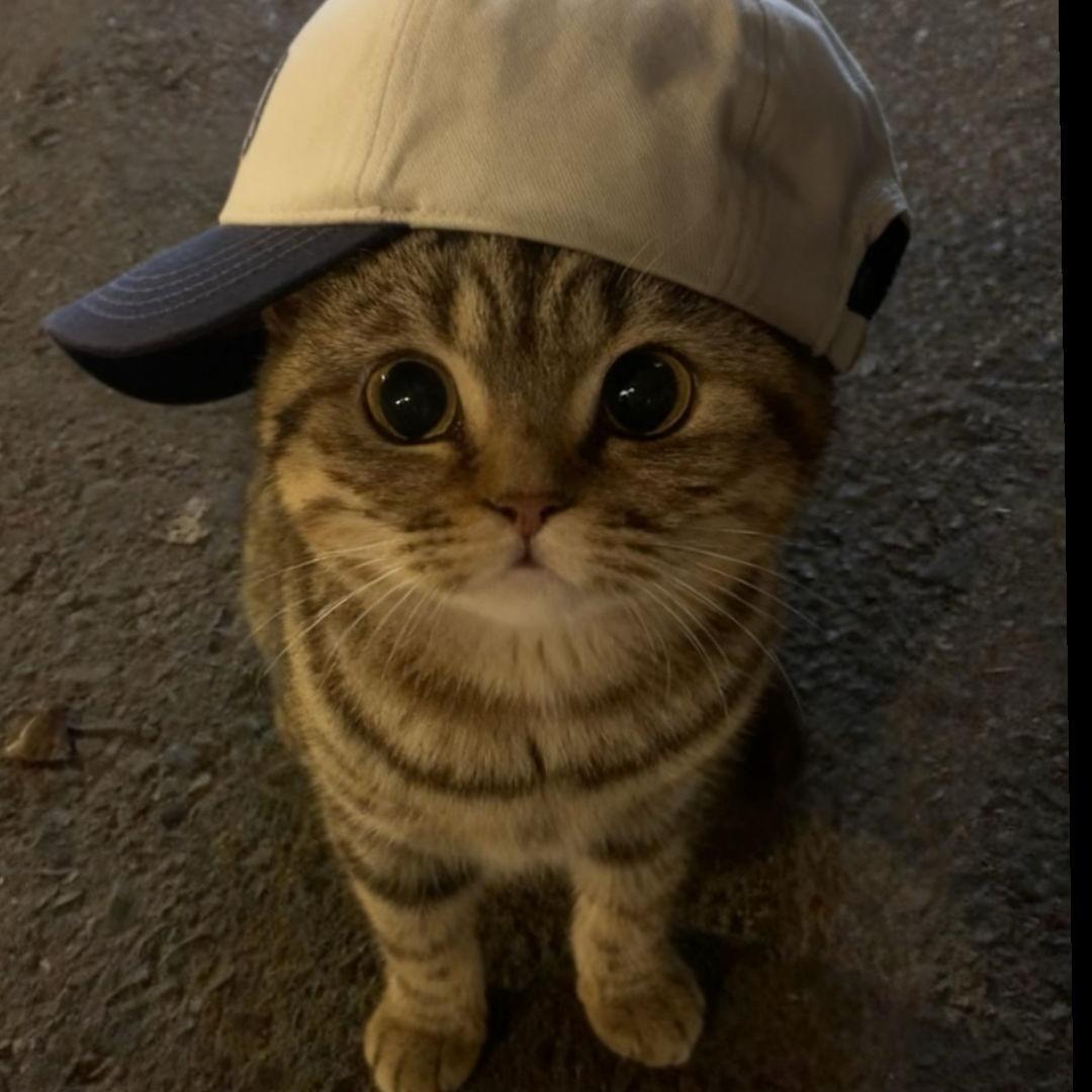 西不西想施