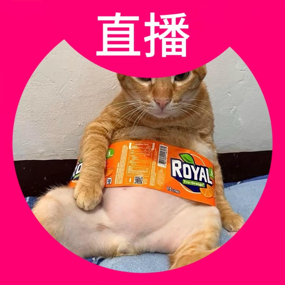 dghyggfhh