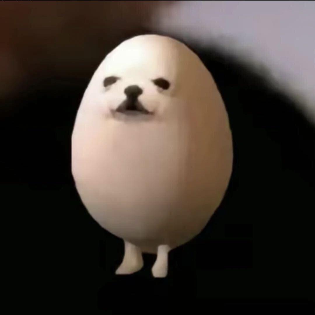 娃娃菜