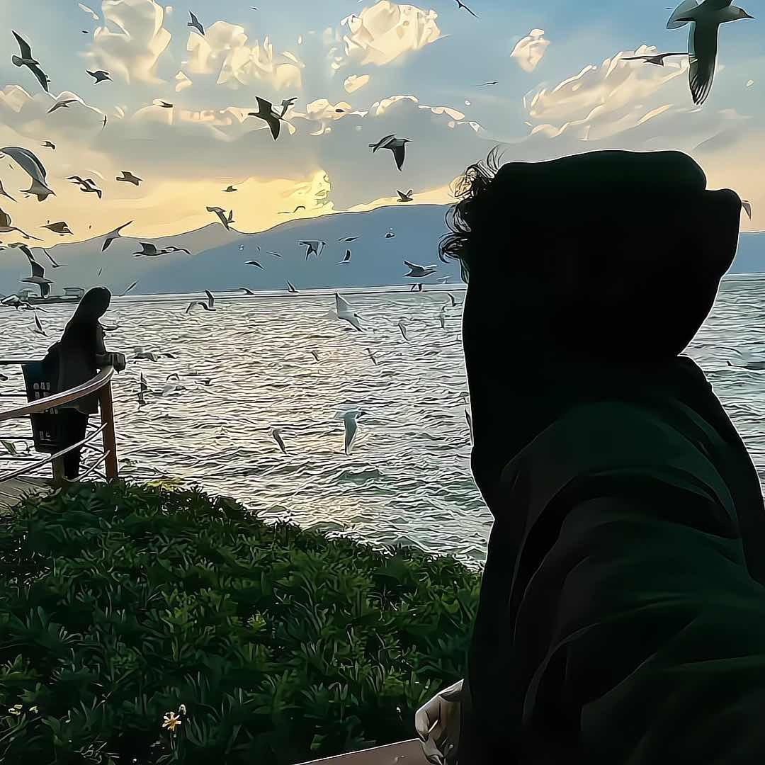 杀死知更鸟