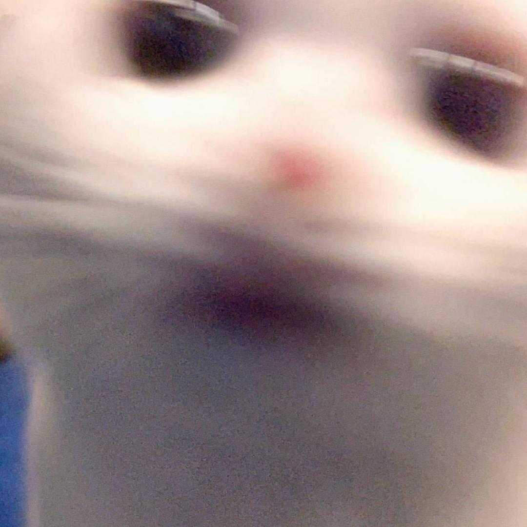 半只羊
