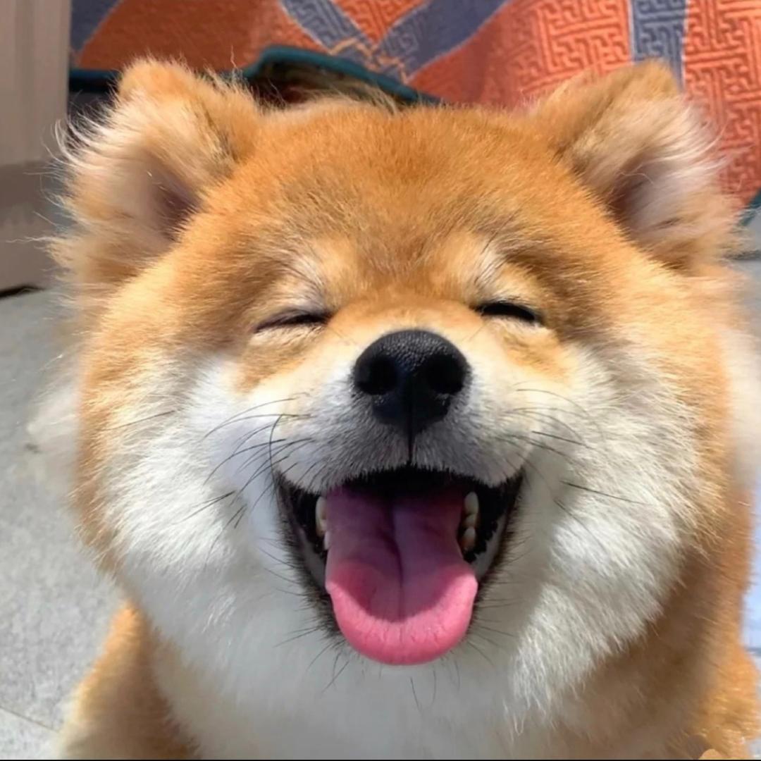 四月人间