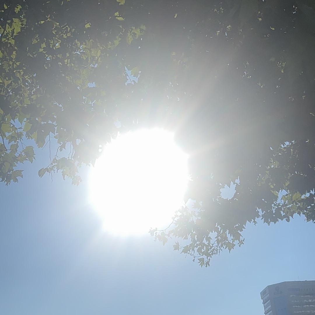 小太🌞