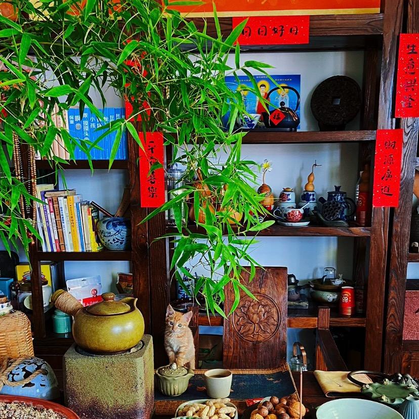 润妈的农村生活