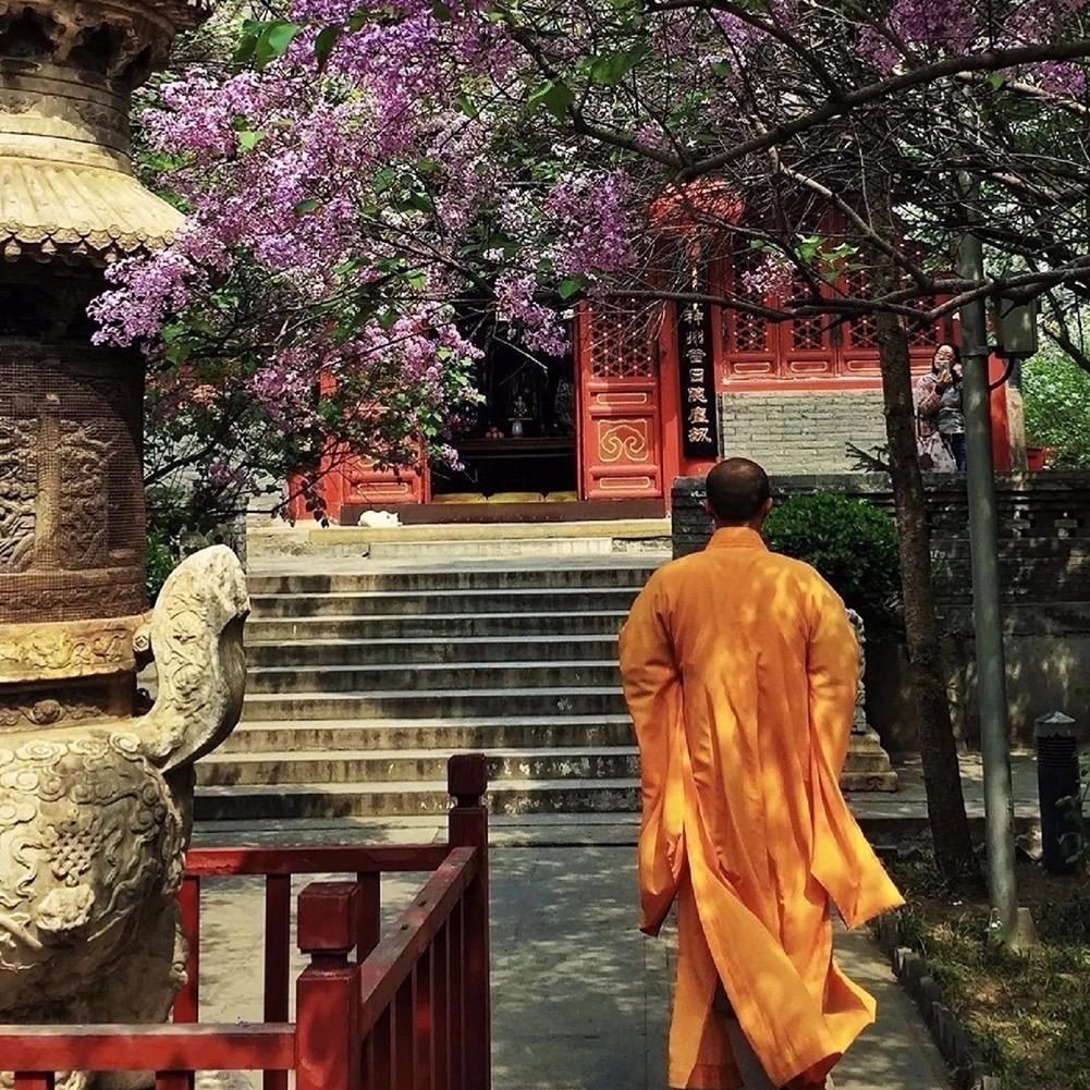 心缇🧹