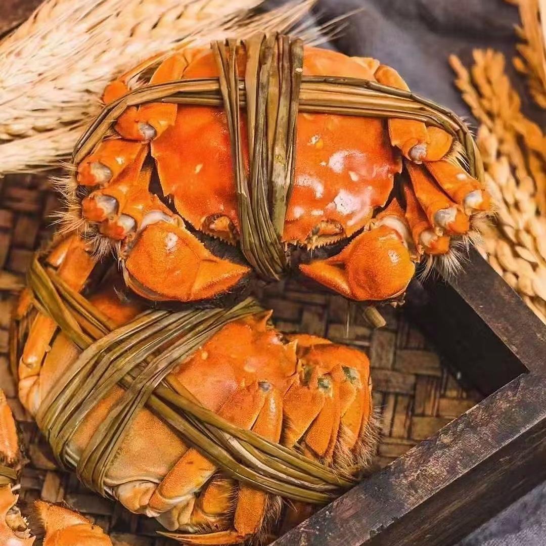 师兄高端大闸蟹