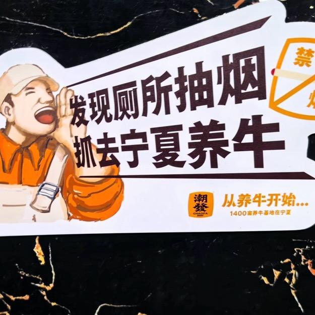 潮汕养牛人在宁夏