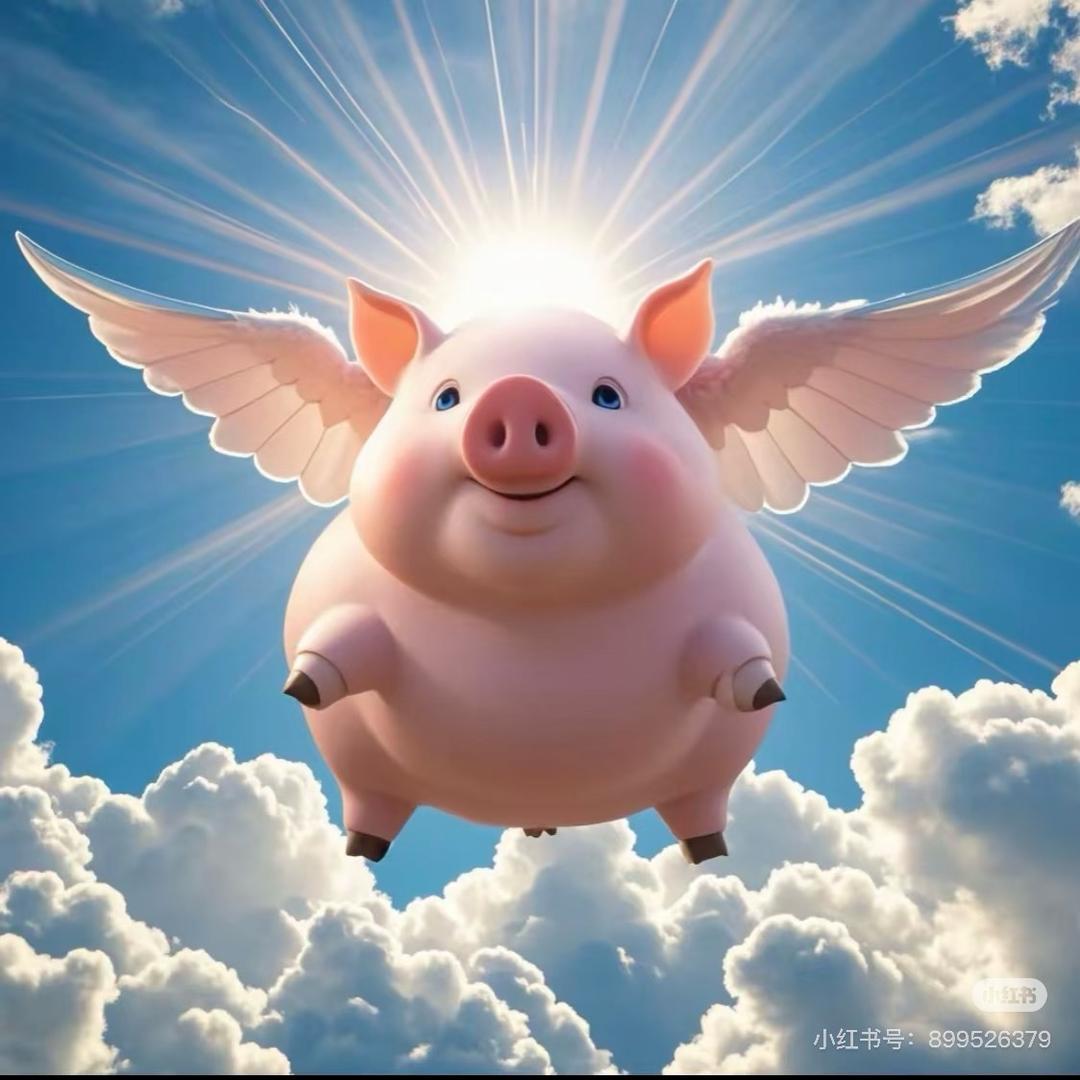 一只小飞猪 🌟₁₁.₁₅