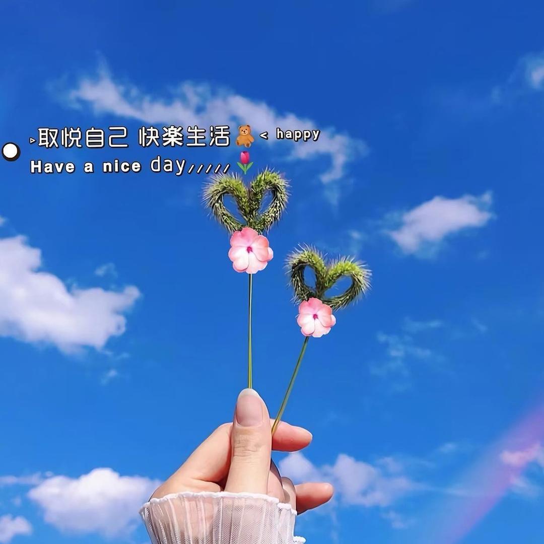 我用时光等你