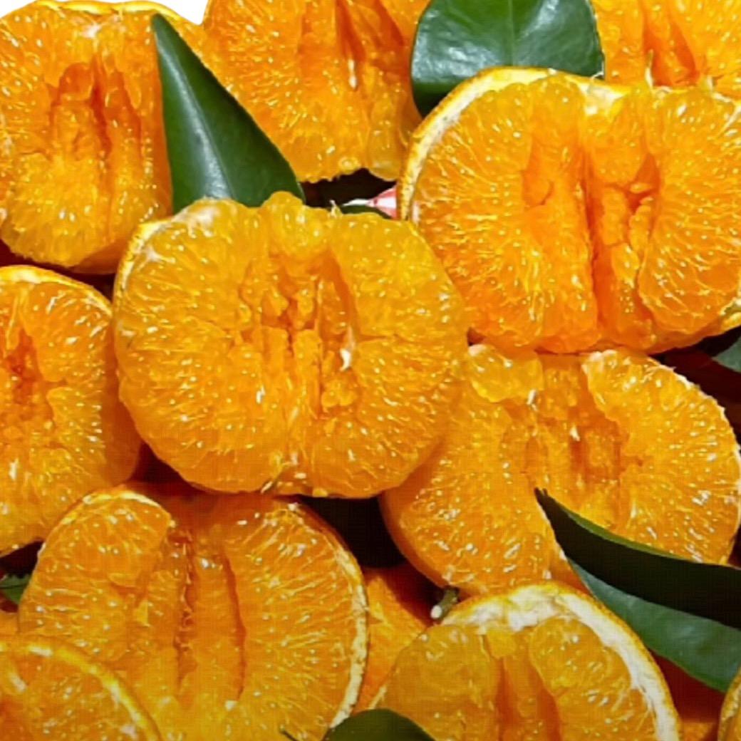 小宇生鲜百货铺