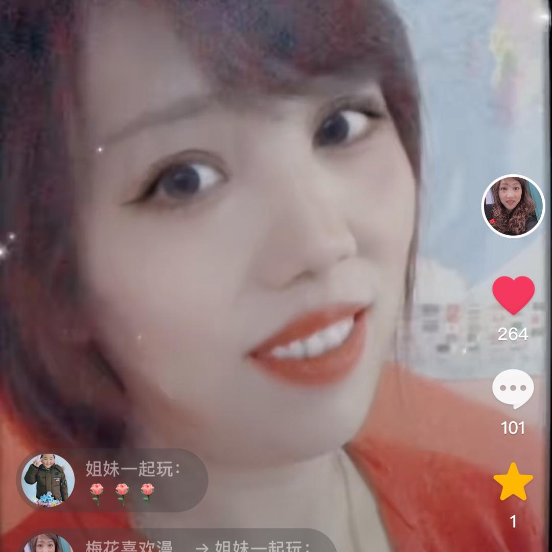 梅花喜欢漫天雪