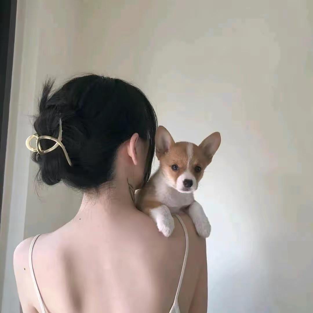 和语木