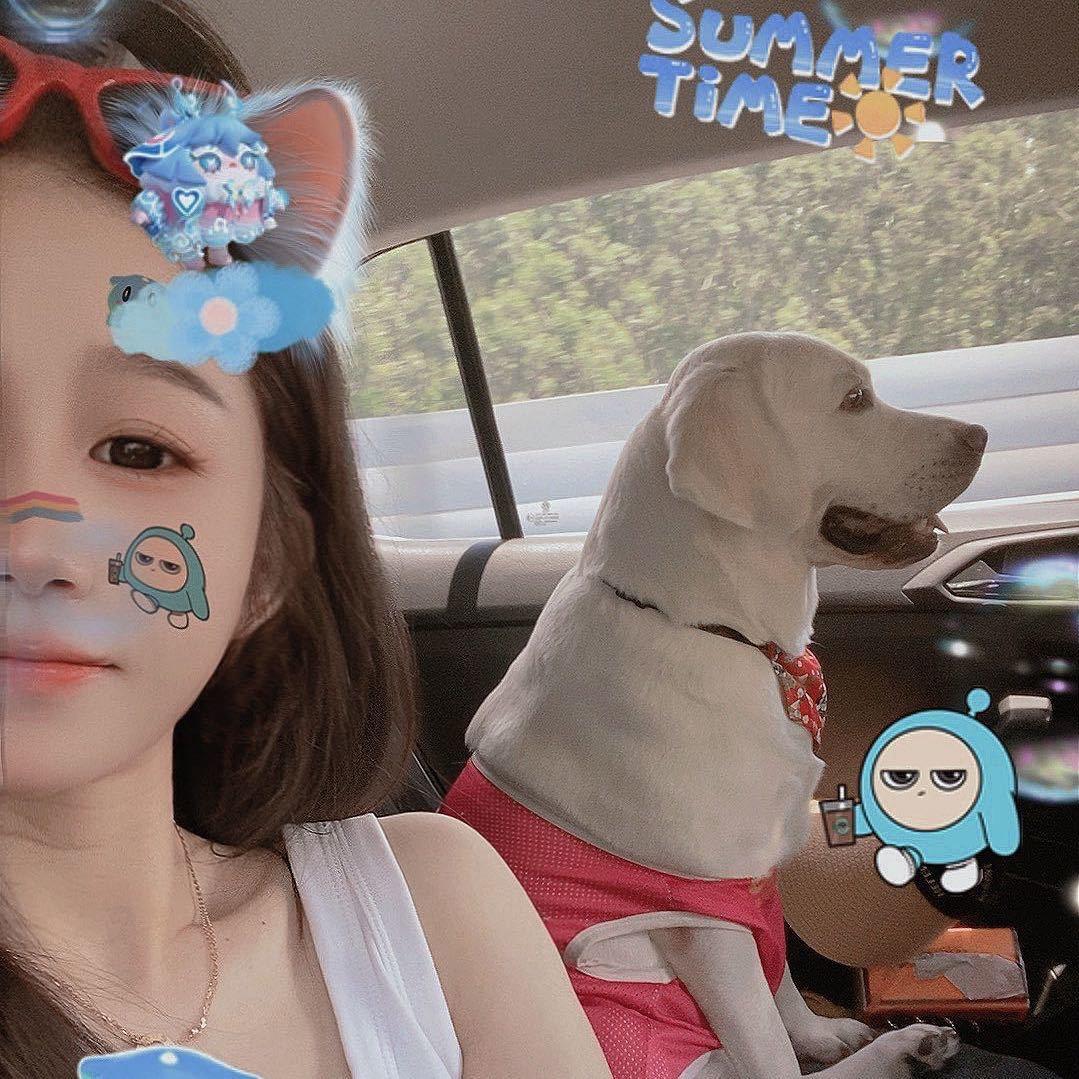 李子木木 (小个子💰)