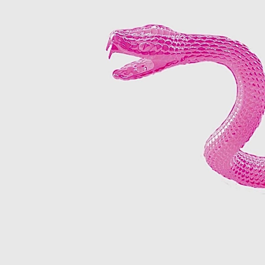 Snake Club
