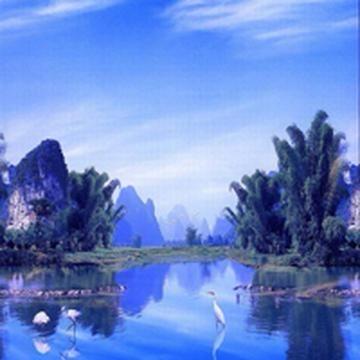 相忘红尘