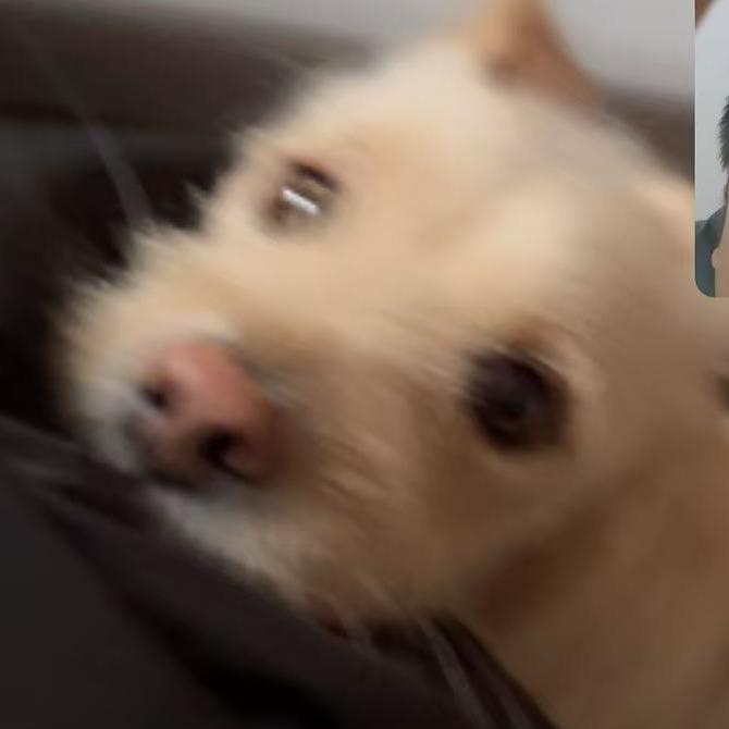ing~头像