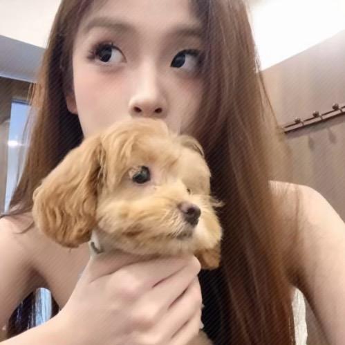 茄茄茄（赴约时团演唱会版