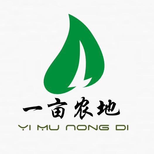 齐鲁特产