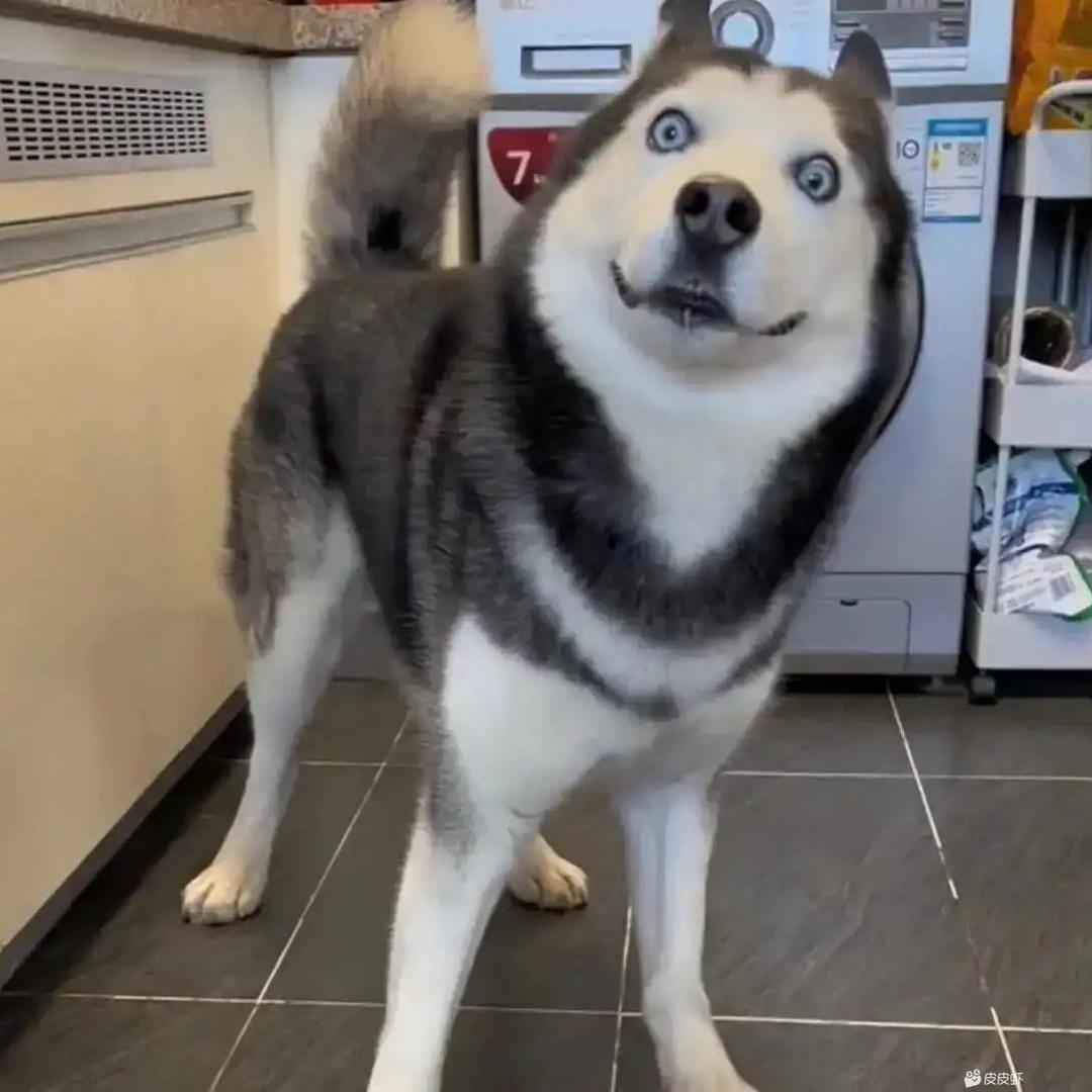 🌈🌈仅此而已🌈🌈