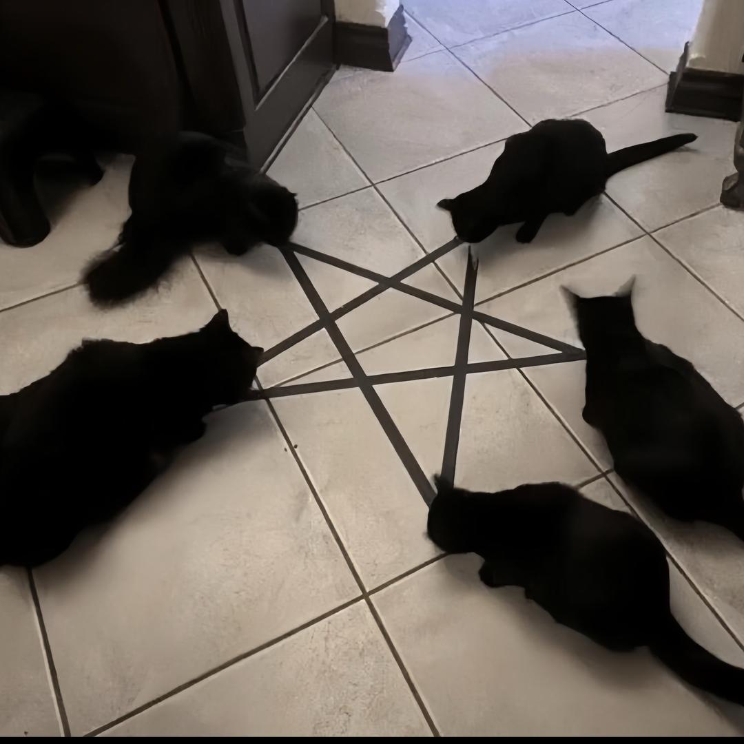 9 5 2 7.