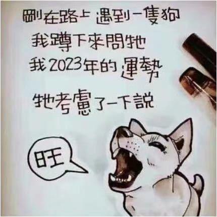 失去与得到