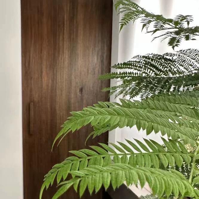 荣韵实木家具加工场