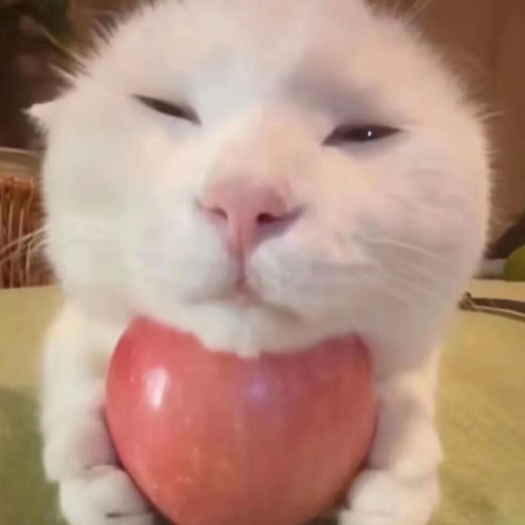 纯情小火鸡