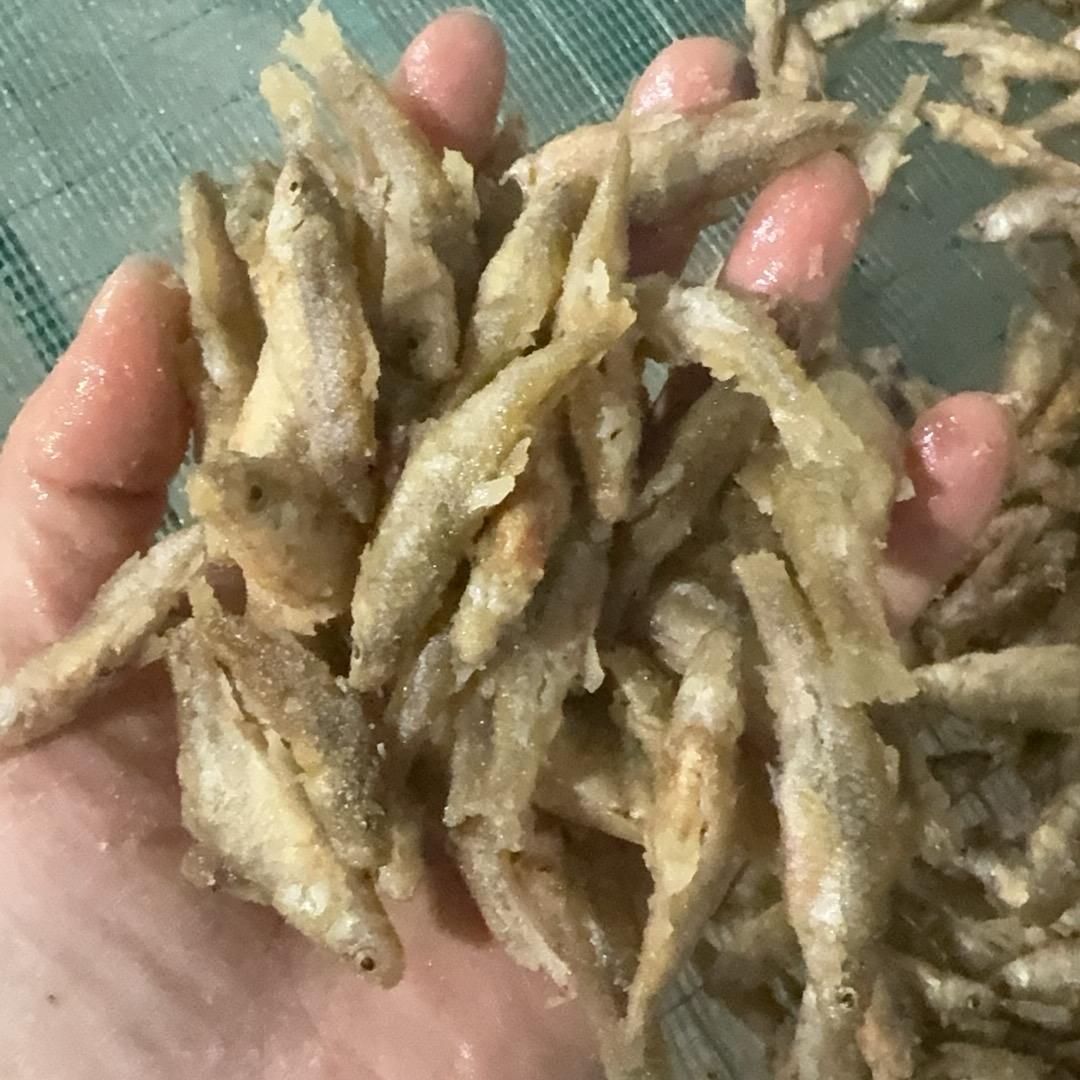 炸鱼冻鱼渔之旅