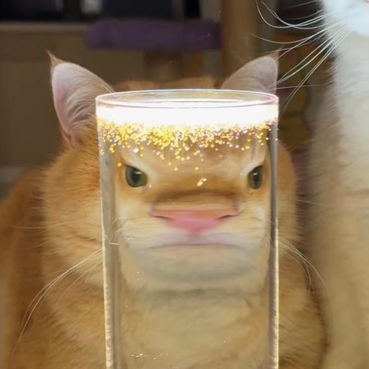 阿浩（云顶之弈）